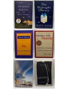 Lot of 6 Modern Literary Fiction Books Contemporary Adult Philosophy